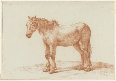 Staand paard, naar links