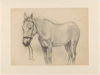 Staand paard, naar links