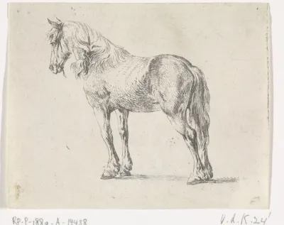 Staand paard naar links