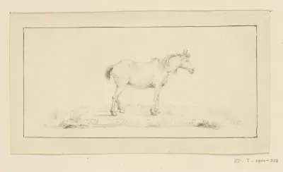 Staand paard, naar rechts
