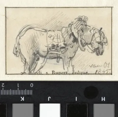 Staand paard, naar rechts