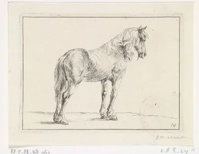 Staand paard naar rechts