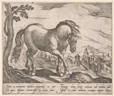 Staand paard naar rechts gewend, met hoofd naar beneden naar toeschouwer