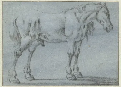 Staand paard, naar rechts