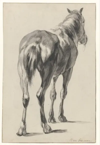 Staand paard, schuin van achter, naar rechts