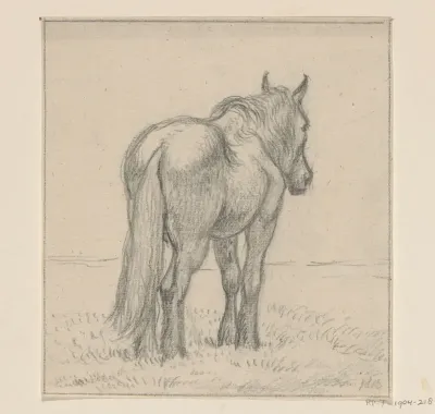 Staand paard, schuin van achteren