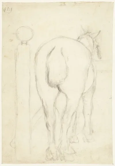 Staand paard, van achteren