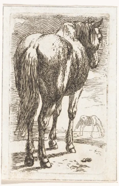 Staand paard, van achteren gezien