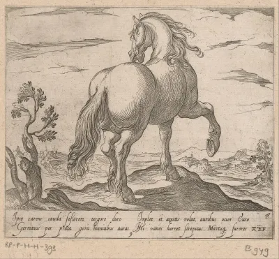 Staand paard van achteren gezien