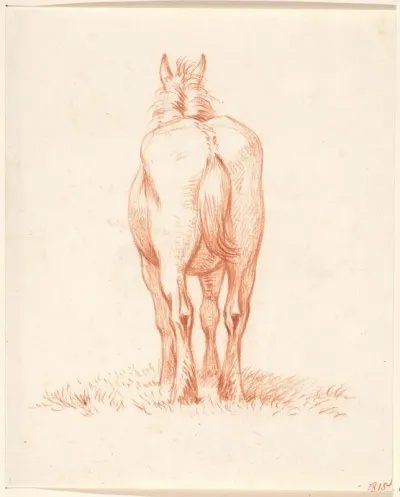 Staand paard, van achteren