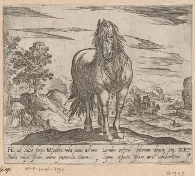 Staand paard van voren gezien