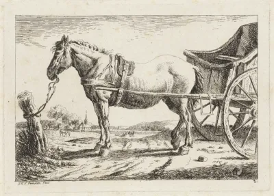 Staand paard, voor een wagen gespannen