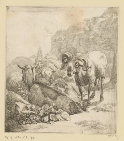Staand ram, liggende geit en schapen