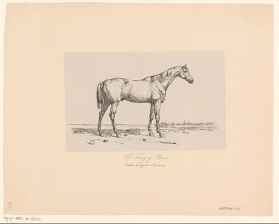 Staand renpaard in een weiland