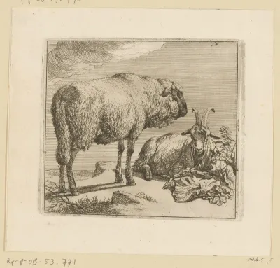 Staand schaap en liggende geit