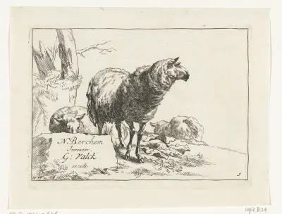 Staand schaap en twee liggende schapen