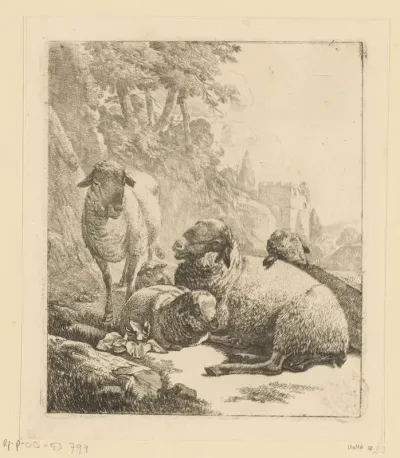 Staand schaap en vier liggende schapen