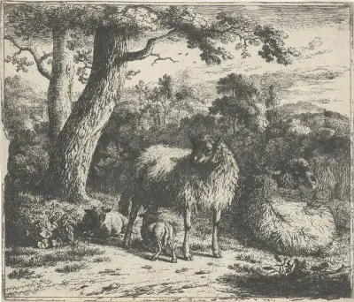 Staand schaap met twee lammeren