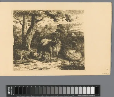 Staand schaap met twee lammeren