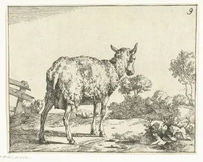 Staand schaap, van achter, bij hek