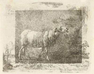 Staand schaap