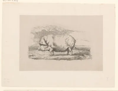 Staand varken