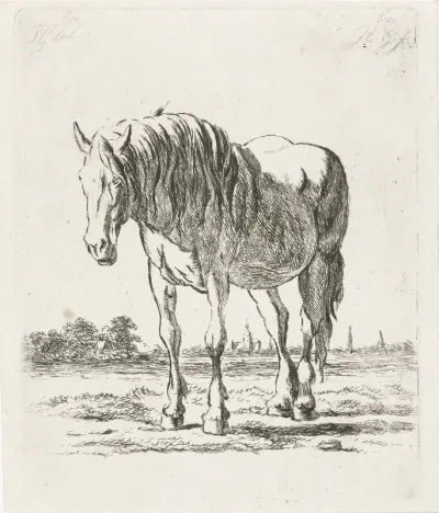 Staand wit paard