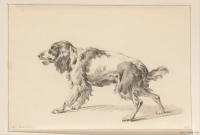 Staande blaffende hond, naar links