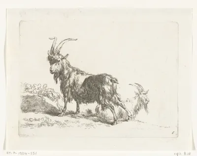 Staande en liggende geit of bok