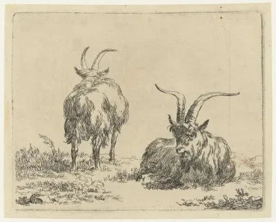 Staande en liggende geit of bok