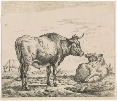 Staande en liggende stier