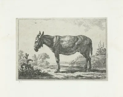 Staande ezel bij distel