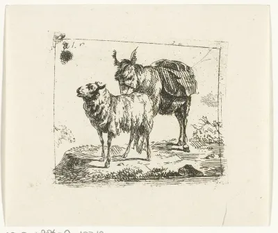 Staande ezel en schaap