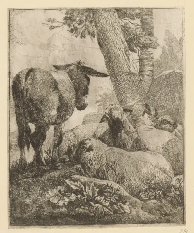 Staande ezel en vier liggende schapen