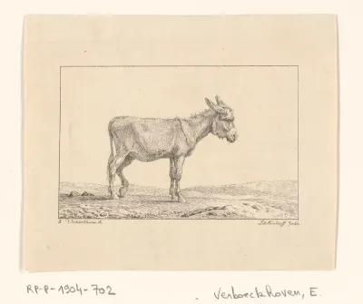 Staande ezel naar rechts