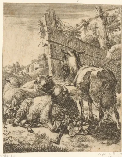 Staande geit en drie liggende schapen