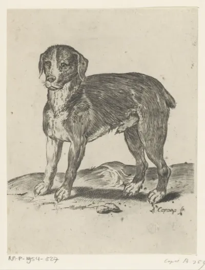 Staande hond