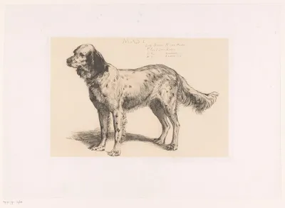 Staande hond