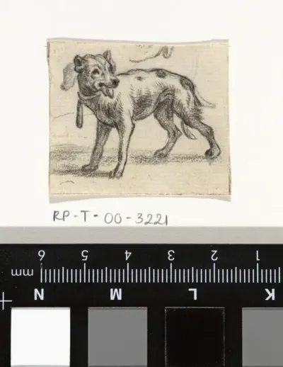 Staande hond met de tong uit de bek