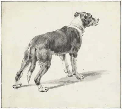 Staande hond, naar rechts