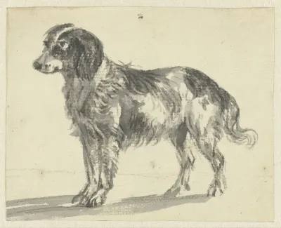 Staande hond