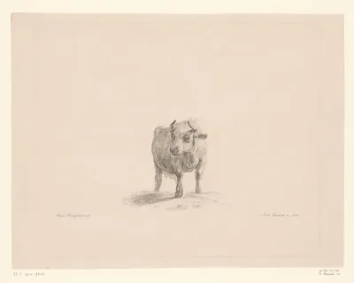 Staande koe