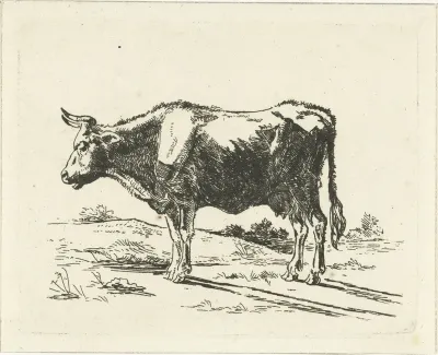 Staande koe