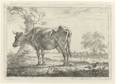 Staande koe