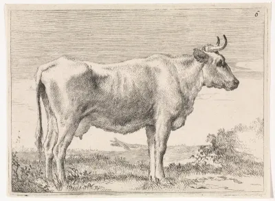 Staande koe