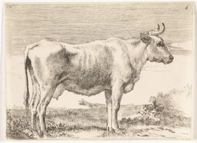 Staande koe