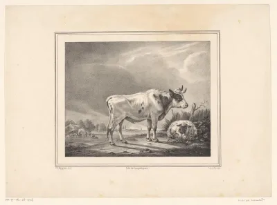 Staande koe en liggend schaap in landschap