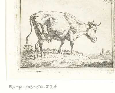 Staande koe, en profil