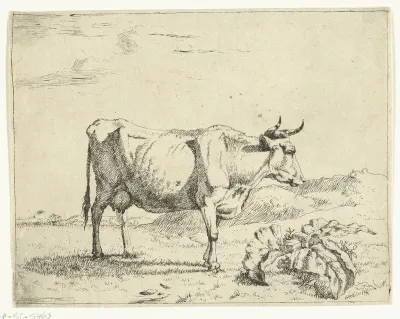 Staande koe, en profil