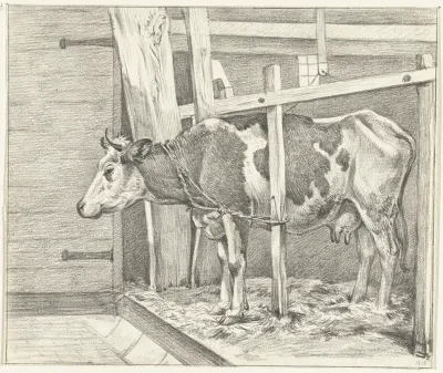 Staande koe in de stal